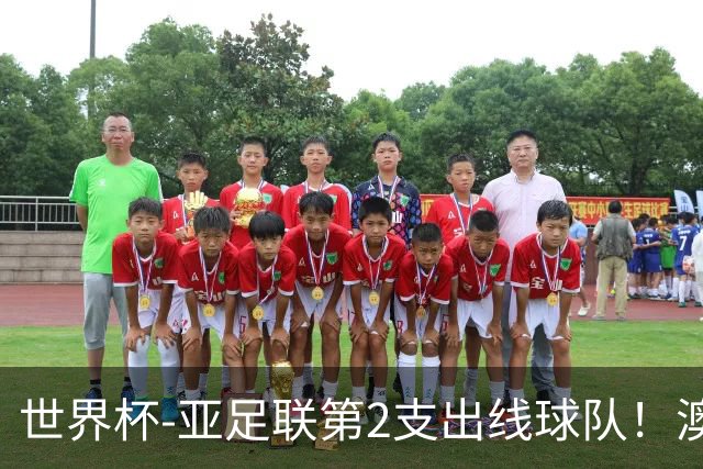 世界杯-亚足联第2支出线球队！澳大利亚0-0巴拉圭获小组第2